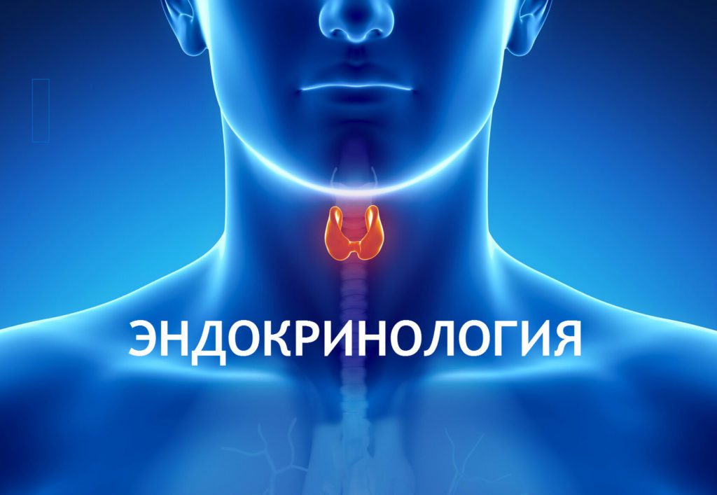 Приветствуем вас!